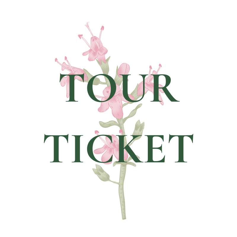 Tour Ticket