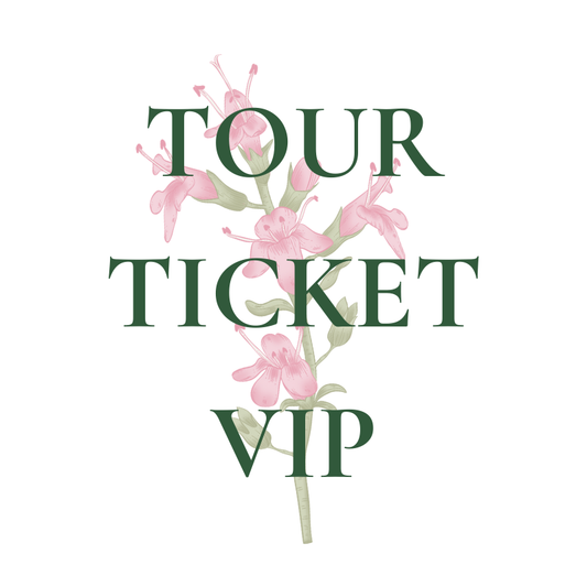 Tour Ticket - VIP